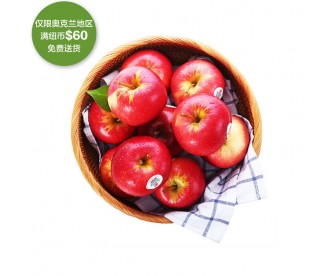 【疫情蔬果专区】新西兰皇后苹果 1公斤【请单独下单,不要和其它专区商品混搭】 【疫情蔬果专区】新西兰皇后苹果 1公斤【请单独下单,不要和其它专区商品混搭】